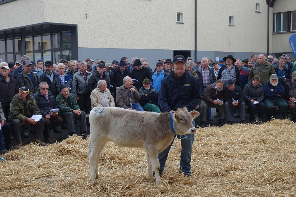 22. Zucht- und Nutzviehauktion Kerns